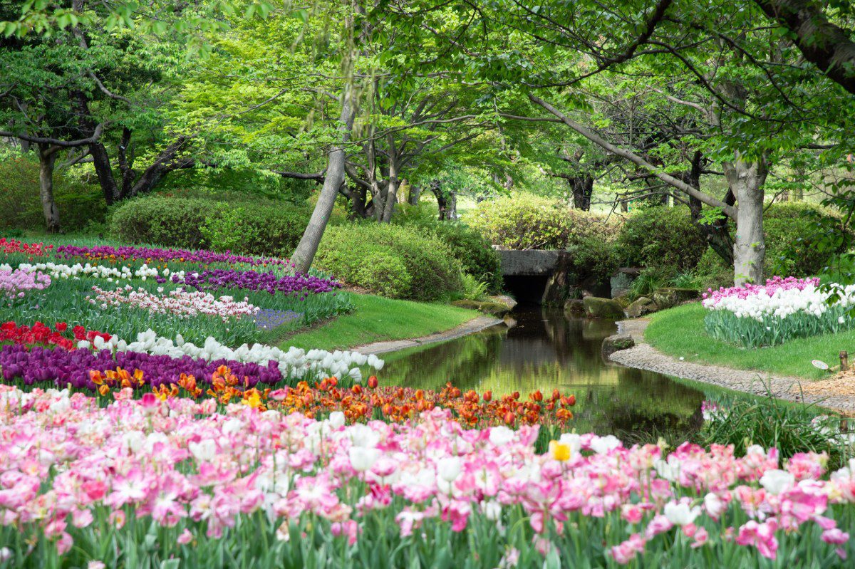 Beautiful Flower Garden