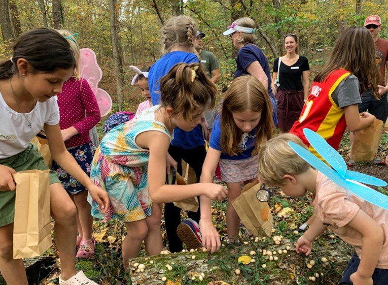 A group of children in the woods picking leaves.