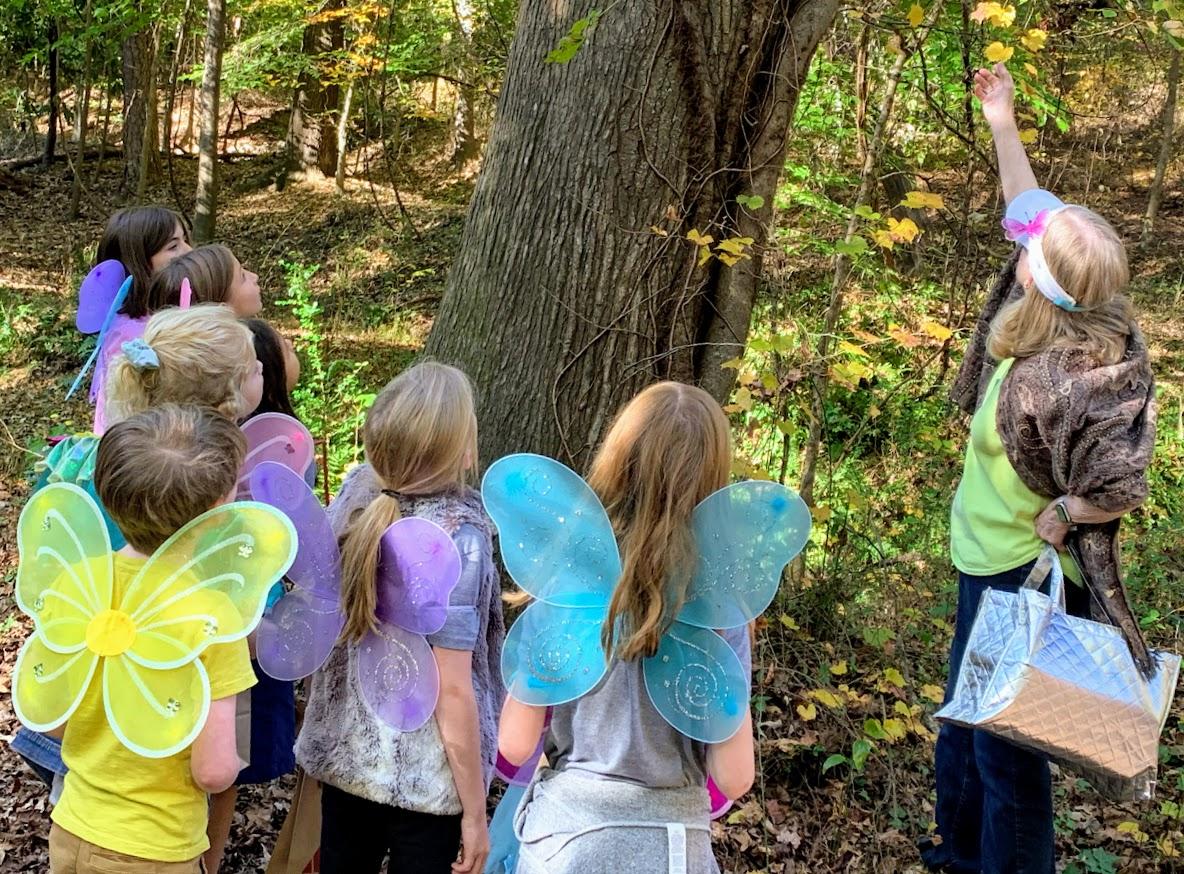 A group of children in fairy costumes standing around.