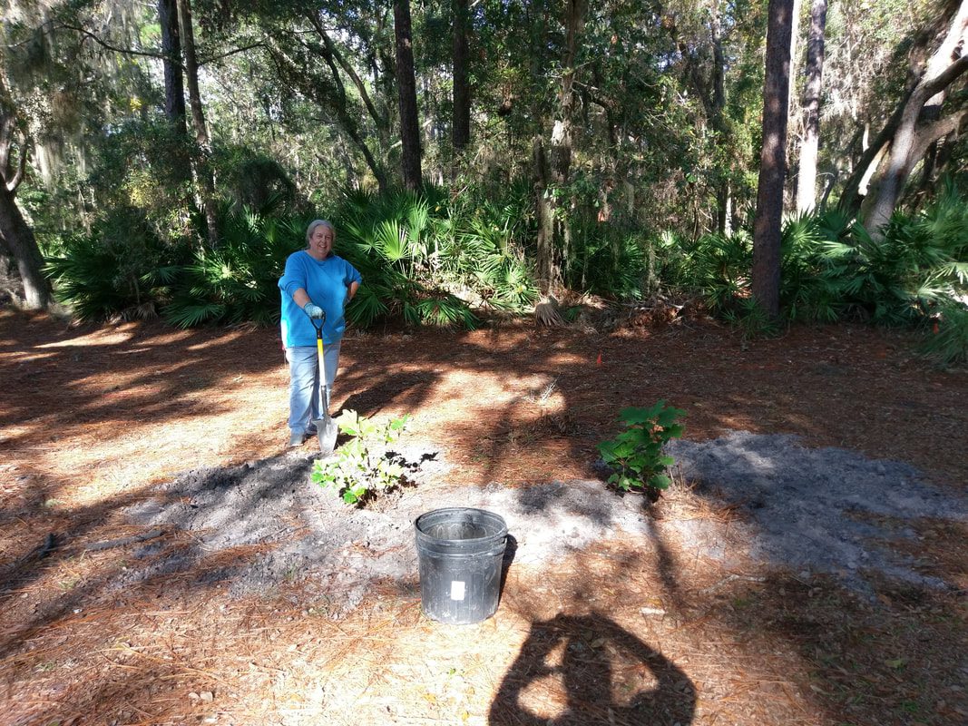 A man is standing in the woods near some trees.