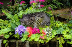 NOGS Tour of Hidden Gardens