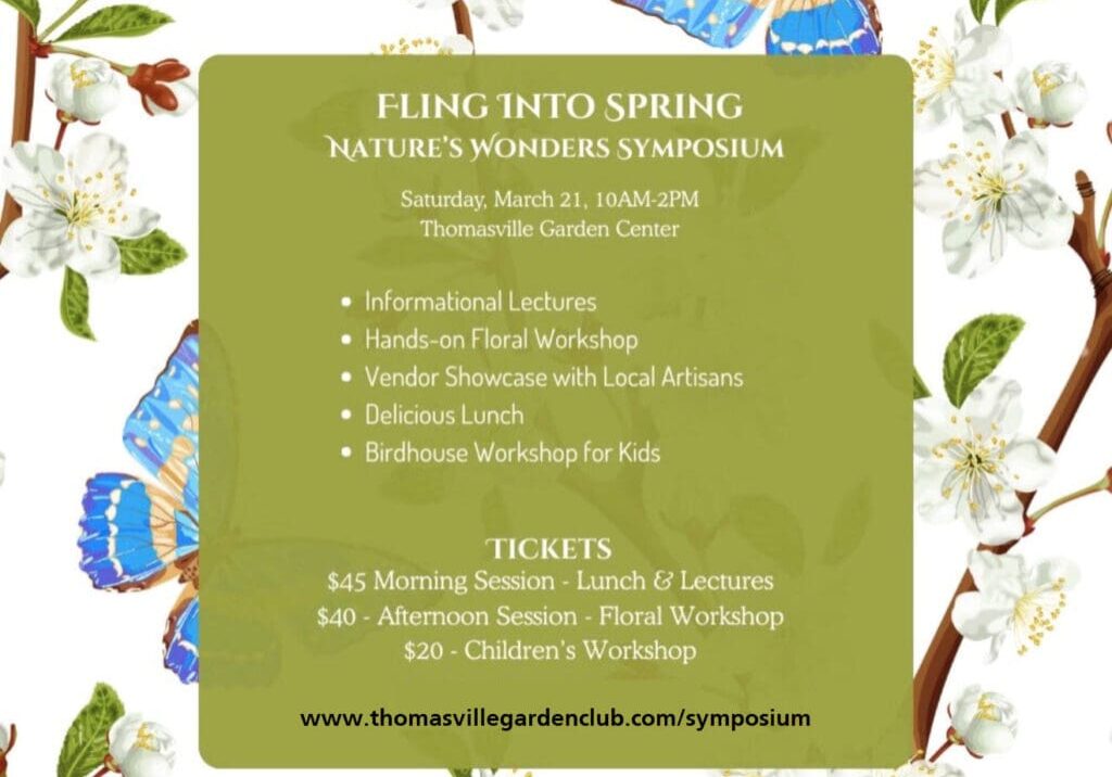 2026 Fling into Spring instagram- edited