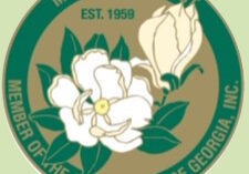Magnolia District Logo and illustration