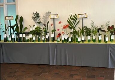 Plant saplings and flowers decorated on a table